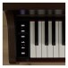 Casio AP-300 Digital Piano, Rosewood - Keys