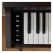 Casio AP-300 Digital Piano, Rosewood - keys 