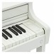 Casio AP-550 Digital Piano, White - keys close up