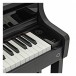 Casio AP-750 Digital Piano, Black - Keys close up