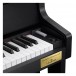 Casio GP310 Grand Hybrid Digital Piano, Satin Black - keys 1