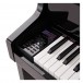 Casio GP510 Grand Hybrid Digital Piano, Polished Ebony - interface