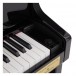 Casio GP510 Grand Hybrid Digital Piano, Polished Ebony - keys 