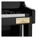 Casio GP510 Grand Hybrid Digital Piano, Polished Ebony - keys