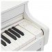 Casio AP-300 Digital Piano, White