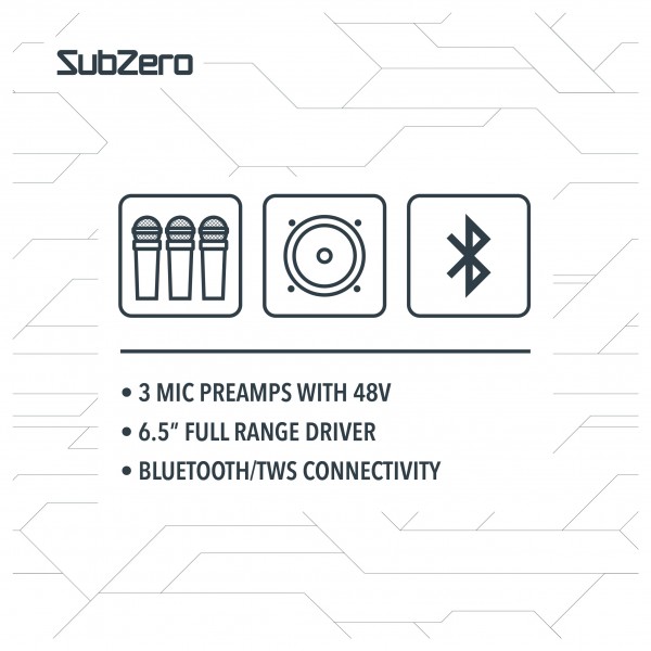 SubZero P6M Active/Passive Personal 6.5" PA Monitor Pair