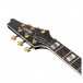 Ibanez FRM350 Paul Gilbert Signature Fireman, Black