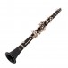 Buffet Prodige Clarinet Student Bb angle