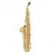 Yanagisawa TWO1 Tenor Sax, Brass