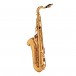 Elkhart 100TS Student Tenor Saxophone