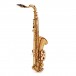 Elkhart 100TS Student Tenor Saxophone