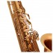 Elkhart 100TS Student Tenor Saxophone