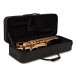 Elkhart 100TS Student Tenor Saxophone