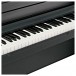 Korg LP-180 Digital Piano, Black