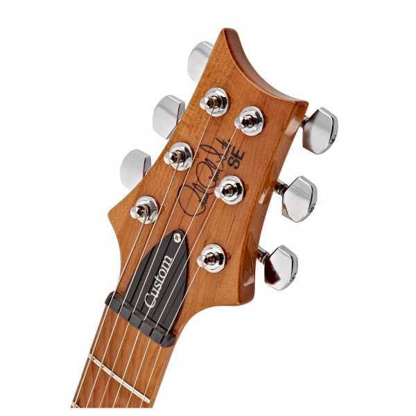 PRS SE Custom 24 Roasted Maple Neck, Trampas Green at Gear4music