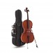 Primavera 200 Cello Outfit, Full Size