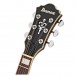 Ibanez AS73FM Artcore, Green Valley Gradation head