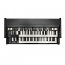Viscount Legend Orgel, schwarz Signature