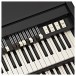 Viscount Legend Organ, Black Signature