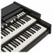 Viscount Legend Organ, Black Signature