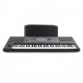 Korg PA600 Arranger Keyboard