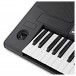 Korg PA600 Arranger Keyboard