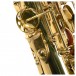 Elkhart 100AS Student Alto Saxophone - Secondhand