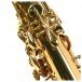 Elkhart 100AS Student Alto Saxophone - Secondhand