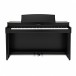 Kawai CN301 Digital Piano, Satin Black