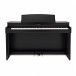 Kawai CN301 Digital Piano, Rosewood