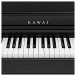 Kawai KDP120 Digital Piano, Satin Black