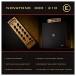 Eden NovaTone 300 2x10