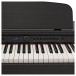 DP-6 Digital Piano by Gear4music