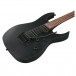 Ibanez RGRT420, Weathered Black controls and tremelo 