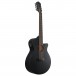 Ibanez AEG721 7 String, Black Flat side 