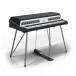 Rhodes MK8 Electric Piano, Classic - Angled