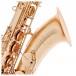 Trevor James EVO Tenor Saxophone, Gold Frost