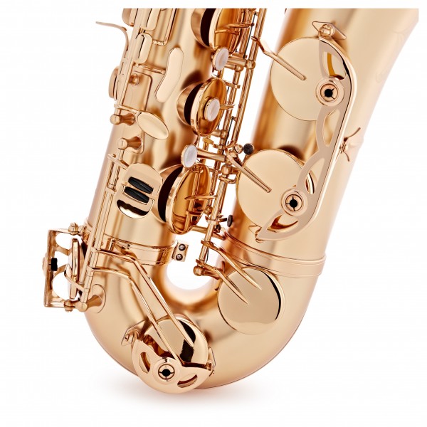 Trevor James EVO Tenor Saxophone, Gold Frost