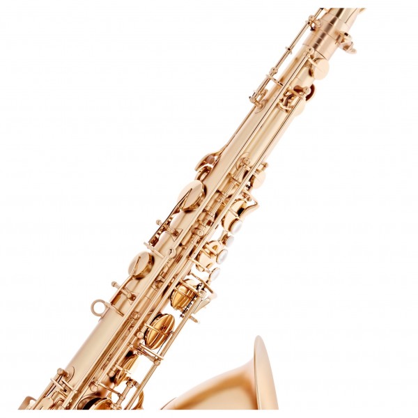 Trevor James EVO Tenor Saxophone, Gold Frost