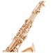 Trevor James EVO Tenor Saxophone, Gold Frost