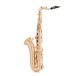 Trevor James EVO Tenor Saxophone, Gold Frost