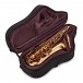 Trevor James EVO Tenor Saxophone, Gold Frost