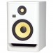 ROKIT RP7 Studio Monitor - Angled