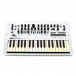 Korg Monologue Analog Synthesizer, Silver - Secondhand