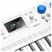 Kiviak Instruments Wofi Polyphonic Sampler Keyboard Synthesizer - Detail (Display)