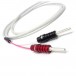 Chord Company RumourX Speaker Cable - coil 