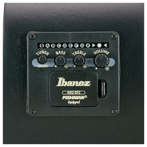 Ibanez AEWC621, Black Flat - EQ