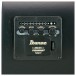 Ibanez AEWC621, Black Flat - EQ