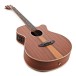 Tanglewood TRU4CEAS Reunion Pro Series Super Folk Electro Acoustic, Santos