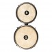 Meinl Percussion Artist Series Bongo Roberto Serrano, Remo Fiberskyn Heads, 7